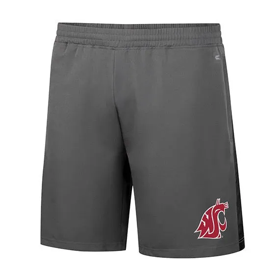 Colosseum Mens Gray Woven Shorts