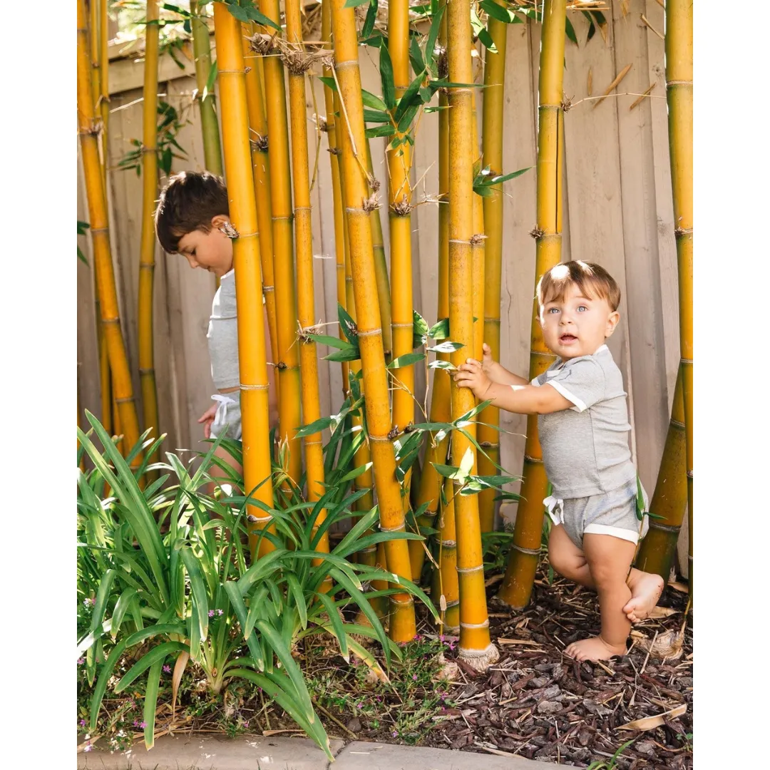 Snuggle Shield® Ribbed Bamboo 2-Piece Shorts Set